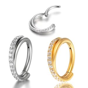 Titanium 2 Rows CZ Pave side Hinged Segment FMN0017